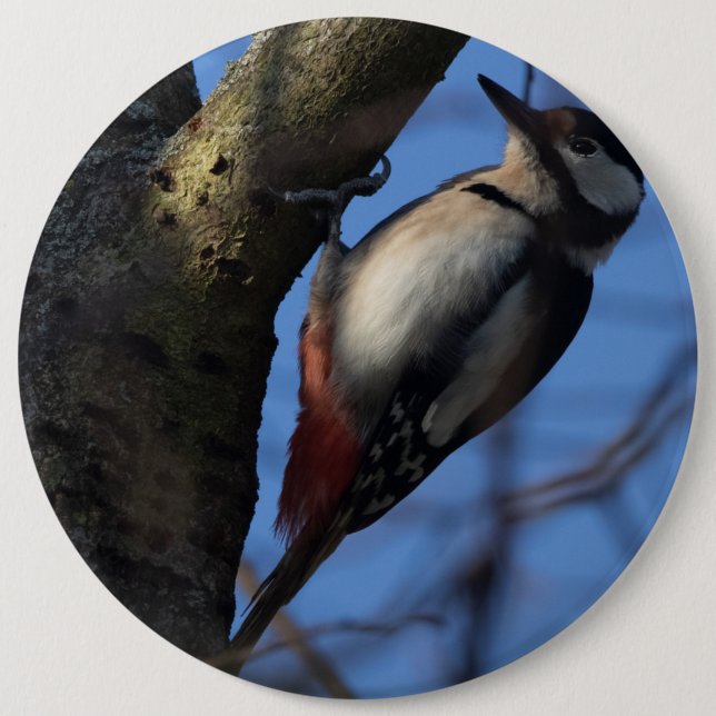 Buntspecht Button (Front)