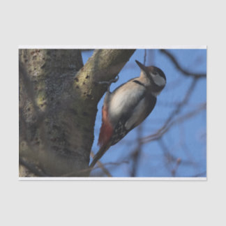 Buntspecht Tissue Paper