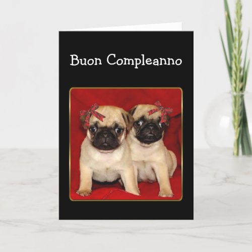Buon compleanno Birthday Pugs greeting card