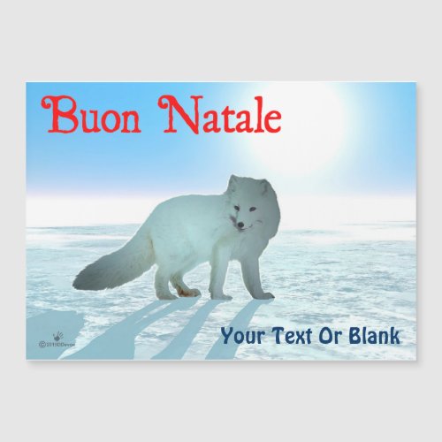 Buon Natale _ Arctic Fox