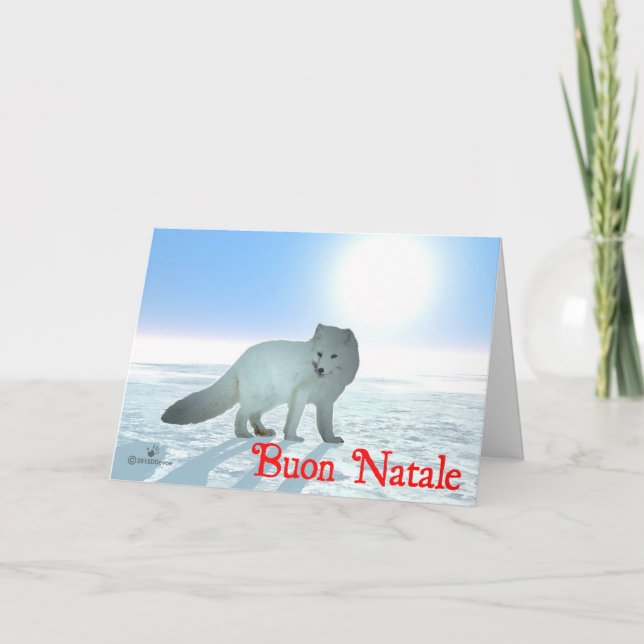 Buon Natale - Arctic Fox Holiday Card (Front)