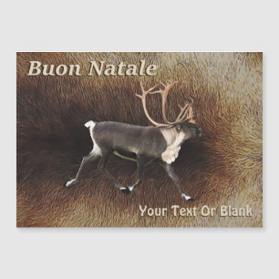 Buon Natale - Bull Caribou (Reindeer)