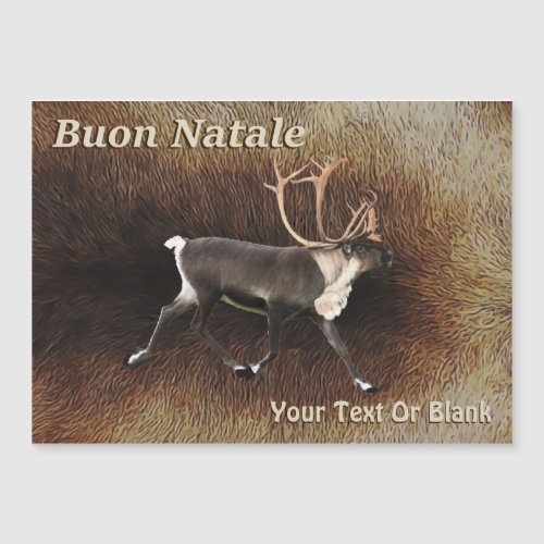 Buon Natale _ Bull Caribou Reindeer