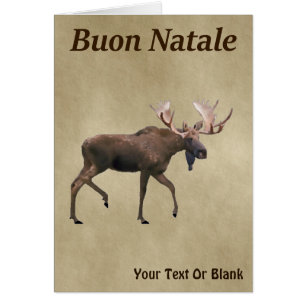 Buon Natale - Bull Moose On Old Paper Cards
