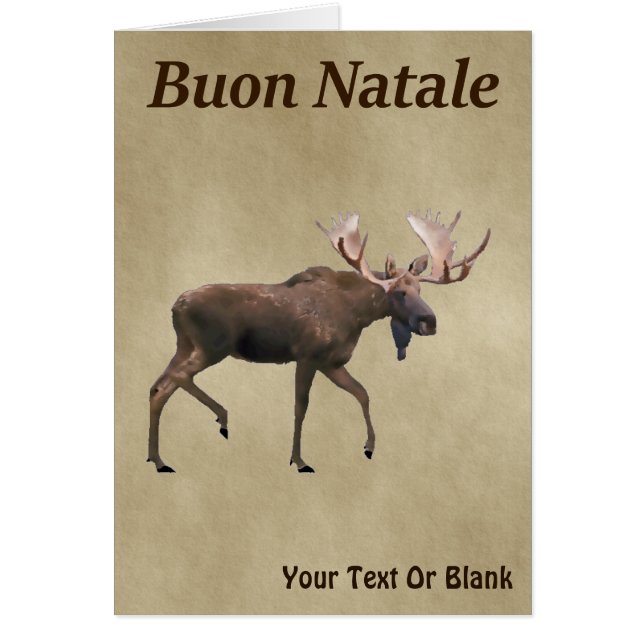 Buon Natale - Bull Moose On Old Paper Cards (Front)