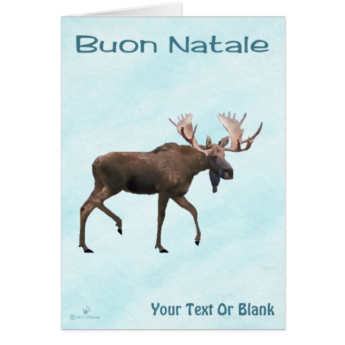 Buon Natale _ Bull Moose On Snow