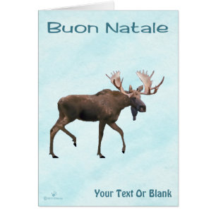 Buon Natale - Bull Moose On Snow Cards