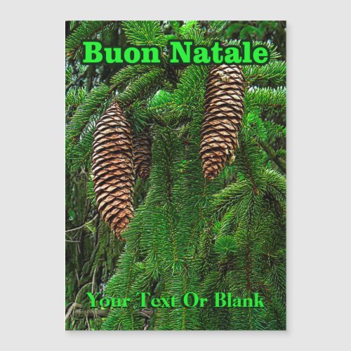 Buon Natale _ Cones And Needles