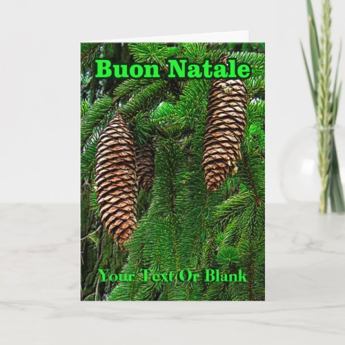 Buon Natale _ Cones And Needles Holiday Card