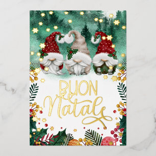 Buon Natale Cute Gnomes Stars Forest Photo Foil H Foil Holiday Card