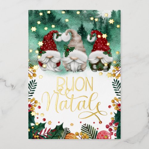 Buon Natale Cute Gnomes Stars Forest Photo  Foil H Foil Holiday Card