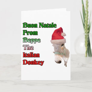 Buon Natale From Beppe The Italian Donkey Holiday Card