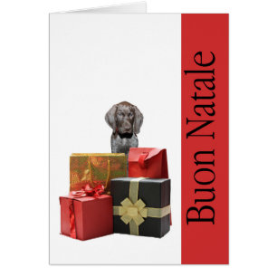 Buon Natale german shorthaired pup Chistmas Cards