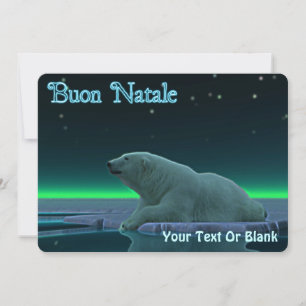 Buon Natale - Ice Edge Polar Bear Holiday Card