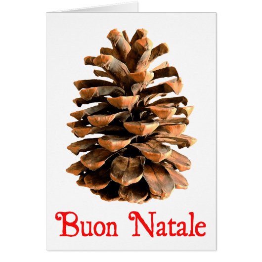 Buon Natale - Jerusalem Pine Cone Cards (Front)