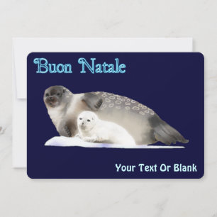 Buon Natale - Ringed Seal Holiday Card