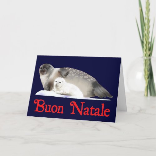 Buon Natale _ Ringed Seal Holiday Card