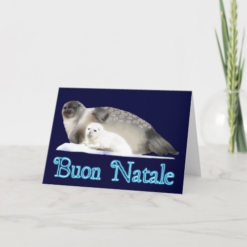 Buon Natale _ Ringed Seal Holiday Card