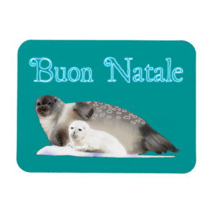 Buon Natale - Ringed Seal Magnet