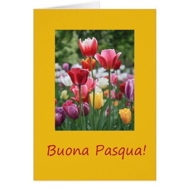 Buona Pasqua Italian Happy Easter Cards (Front)