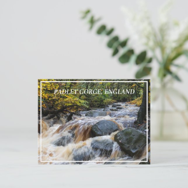 Burbage Brook in Full Spate, Padley Gorge, UK Postcard (Standing Front)