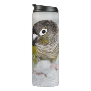 Burbel Thermal Tumbler