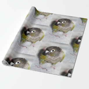 Burbel Wrapping Paper
