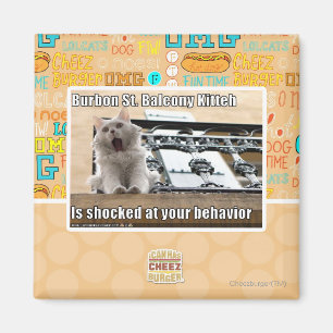 Burbon St. Balcony Kitteh Magnet