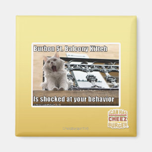 Burbon St. Balcony Kitteh Magnet