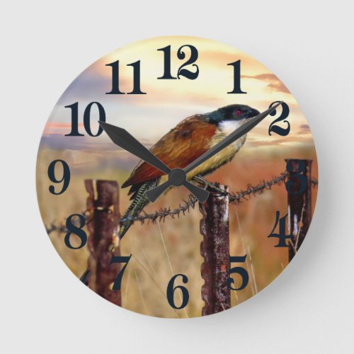 Burchells Coucal cuckoo bird Round Clock