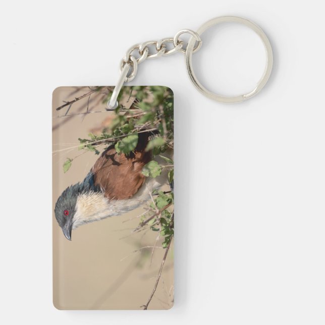 Burchell's Coucal Keychain (Back)