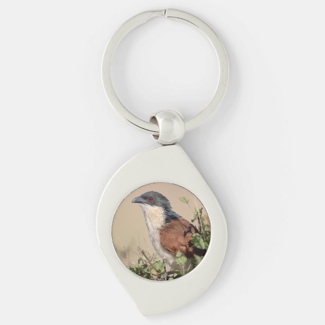 Burchell's Coucal Keychain (Front)