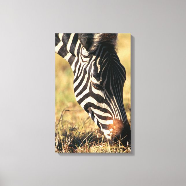 Burchell's zebra canvas print (Front)