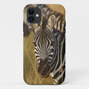 Burchell's Zebra in tall summer grass, Masai iPhone 11 Case