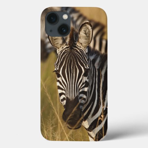 Burchells Zebra in tall summer grass Masai iPhone 13 Case