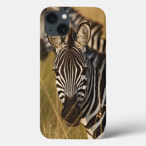 Burchells Zebra in tall summer grass Masai iPhone 13 Case