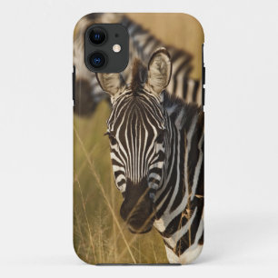 Burchell's Zebra in tall summer grass, Masai iPhone 11 Case