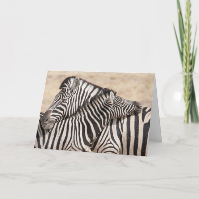 Burchell's Zebras Necking Card (Front)