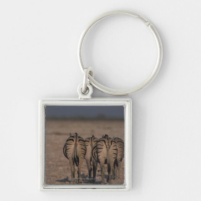Burchell's Zebras Walking Keychain (Front)