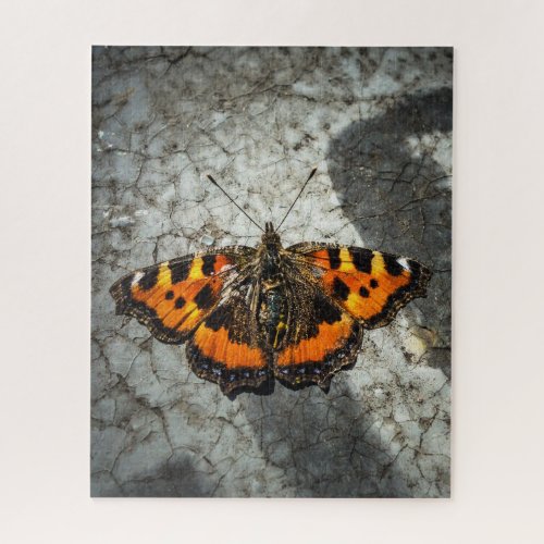 Burdock Butterfly  Jigsaw Puzzle