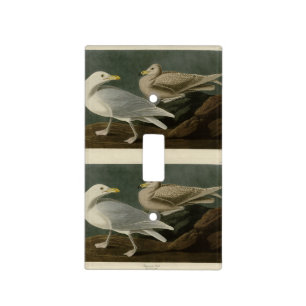 Burgomaster Gull - from Audubon's Birds of America Light Switch Cover