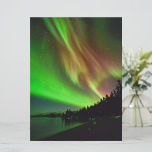 Burgundy Aurora (Standing Front)