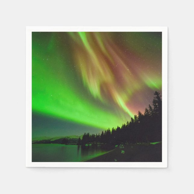 Burgundy Aurora Napkins (Front)