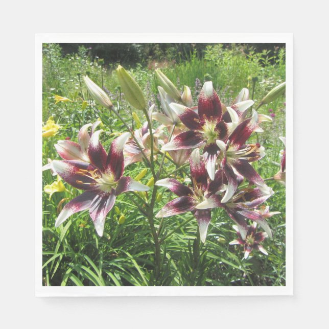 Burgundy Creme Asiatic Lilies, Yellow Daylilies Paper Napkins (Front)