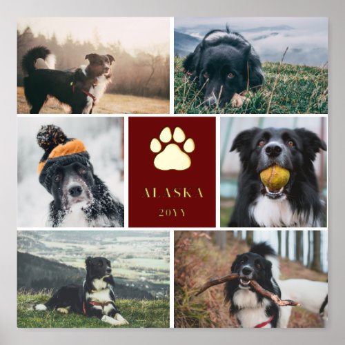 Burgundy Golden Paw Print 6 Photo Collage Dog