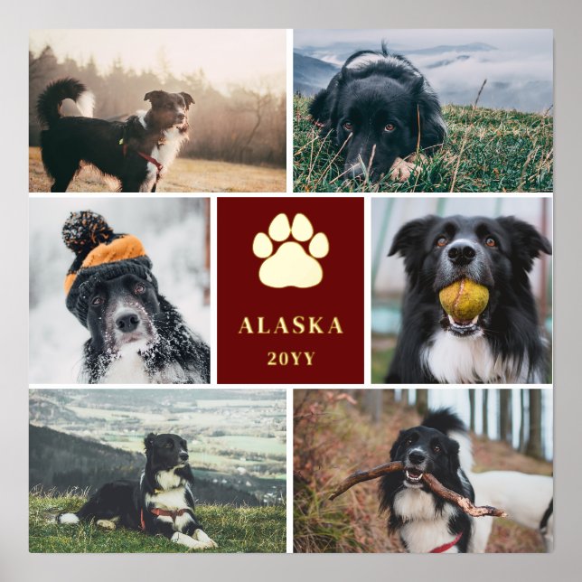 Burgundy Golden Paw Print 6 Photo Collage Dog (Front)