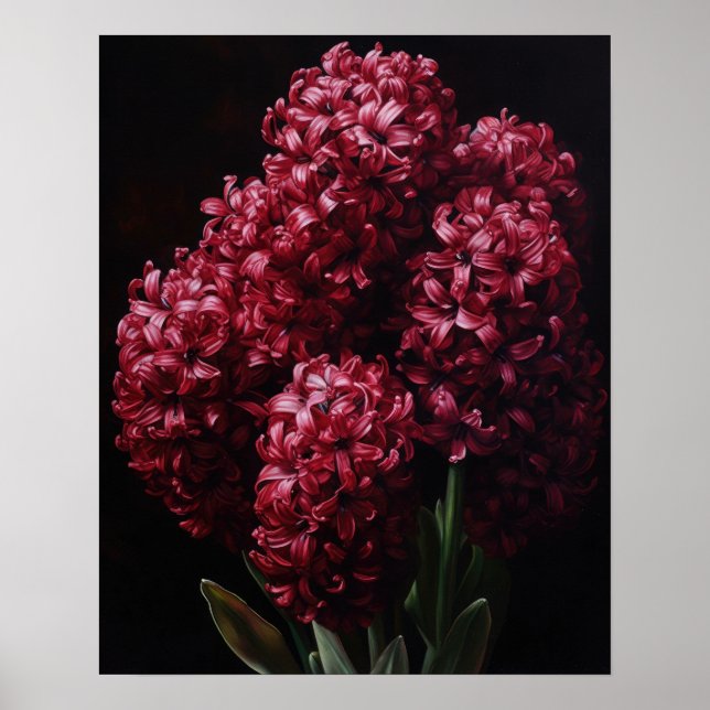 Burgundy Hyacinth Flowers Art Print Poster (Front)