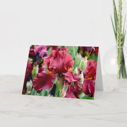 Burgundy Iris Flower Greeting Card Blank Inside