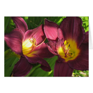 burgundy lilies cards