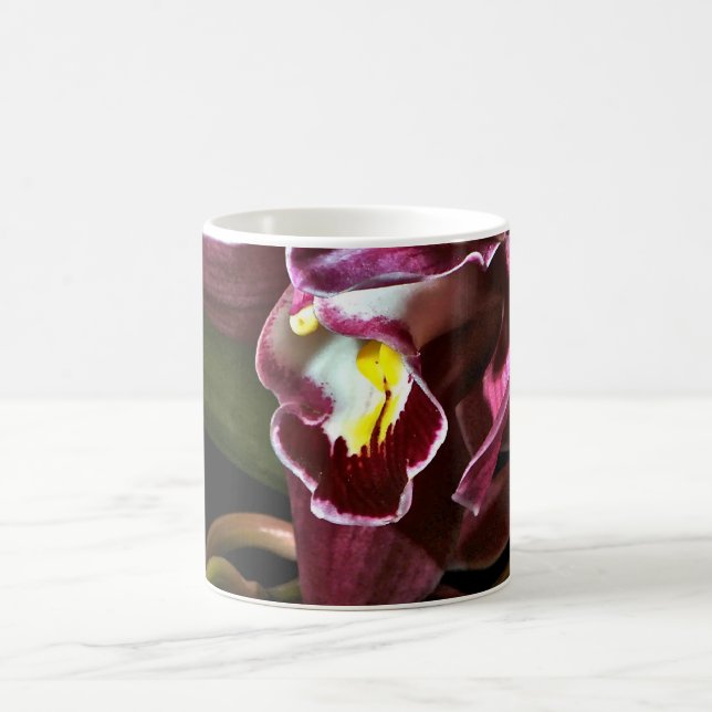 BURGUNDY ORCHID WITH A BLACK BACKGROUND COFFEE MUG (Center)